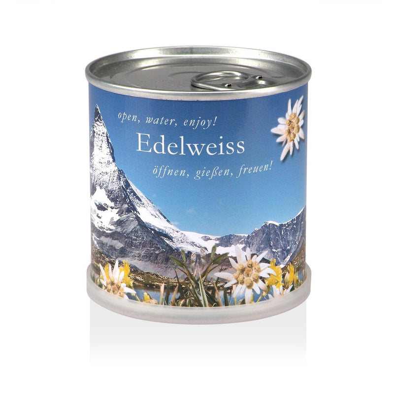 100-Edelweiss - Edelweiss Flowers in a Can